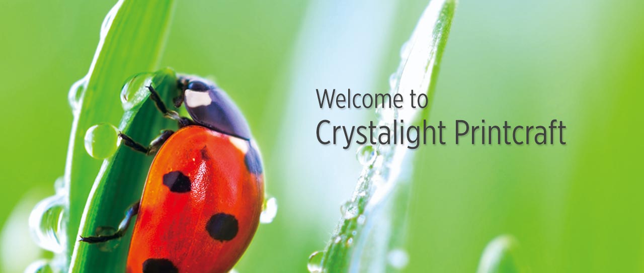 Welcome to Crystalight Printcraft